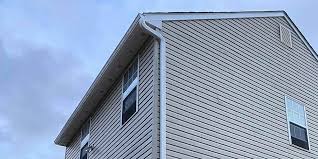 Best Custom Trim and Detailing for Siding  in Lee Acres, NM